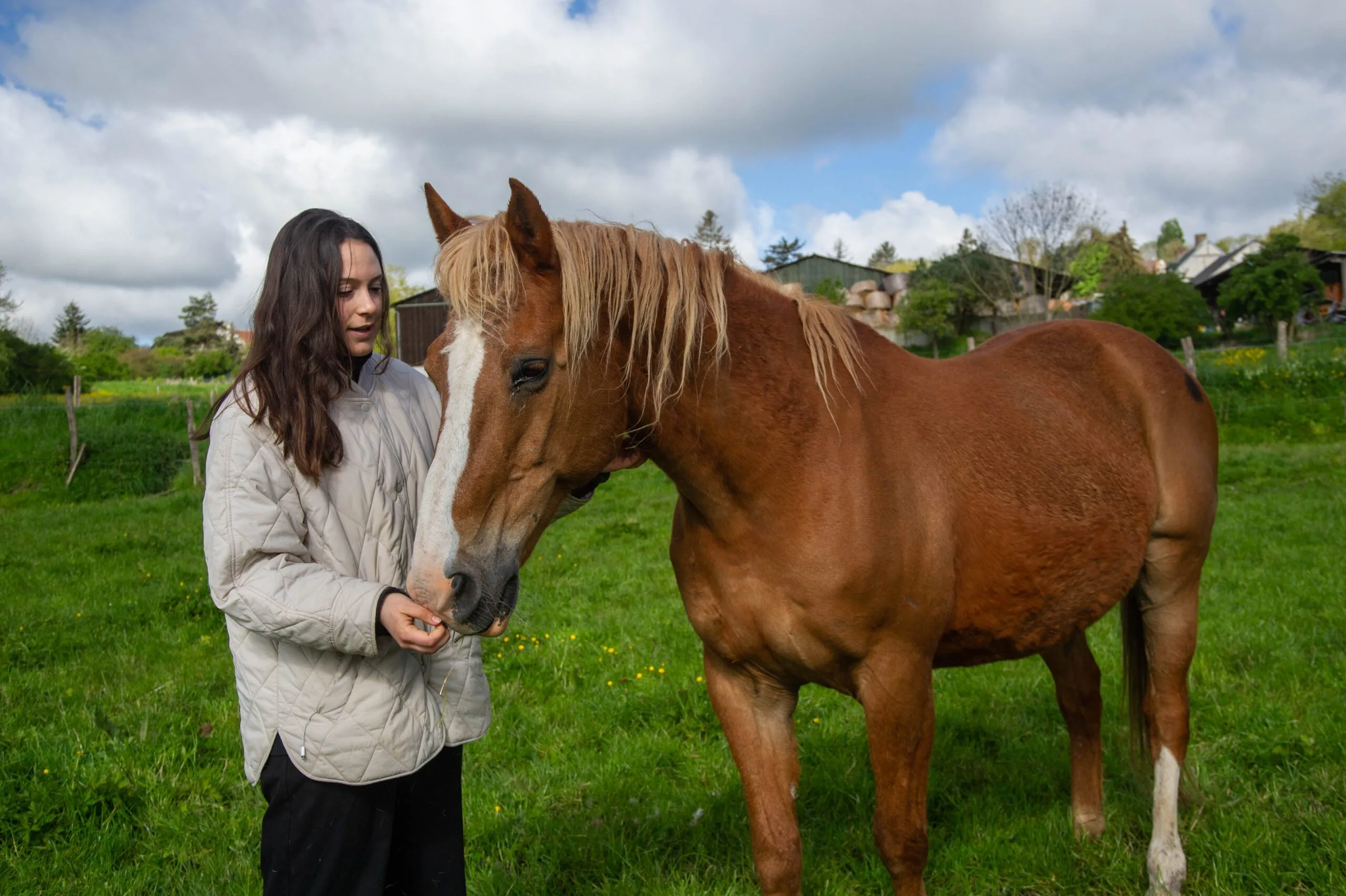 Rose Poilleux caressant un cheval