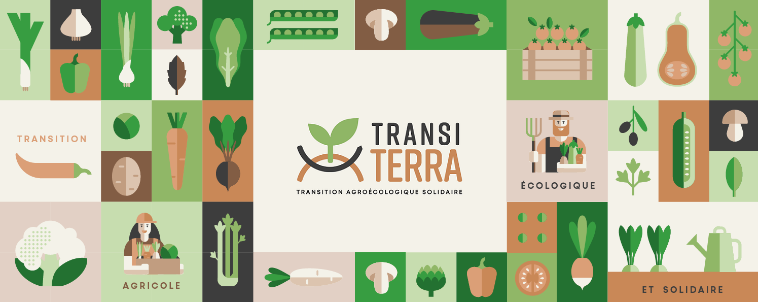 Bannière TransiTerra avec légumes